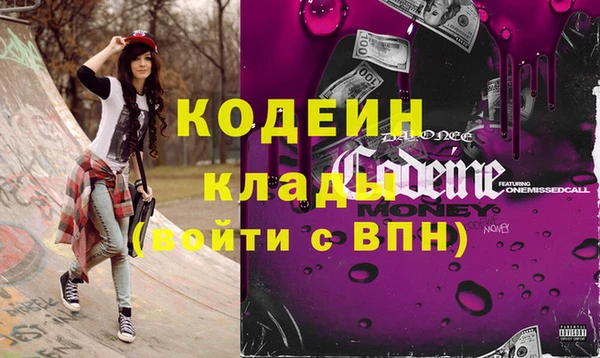 ГАЛЛЮЦИНОГЕННЫЕ ГРИБЫ Инсар