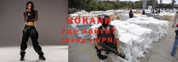 ГАЛЛЮЦИНОГЕННЫЕ ГРИБЫ Инсар