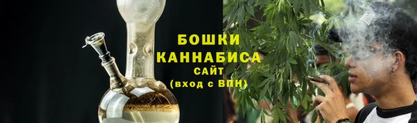 ГАЛЛЮЦИНОГЕННЫЕ ГРИБЫ Инсар