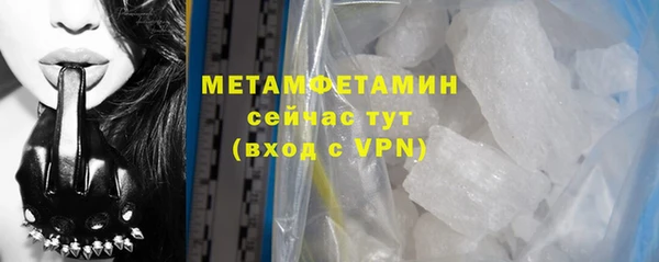 ГАЛЛЮЦИНОГЕННЫЕ ГРИБЫ Инсар