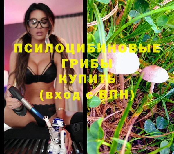 молекула духа Инта