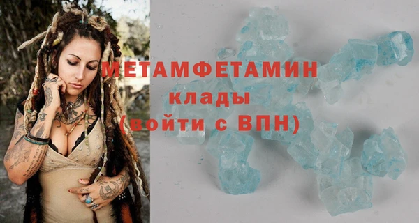 ГАЛЛЮЦИНОГЕННЫЕ ГРИБЫ Инсар