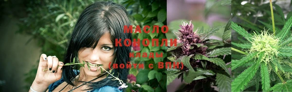 молекула духа Инта