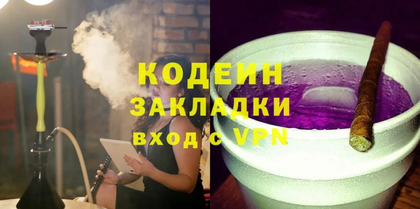 ГАЛЛЮЦИНОГЕННЫЕ ГРИБЫ Инсар