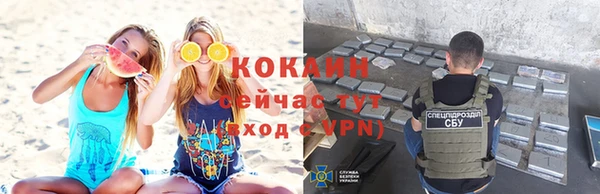 ГАЛЛЮЦИНОГЕННЫЕ ГРИБЫ Инсар