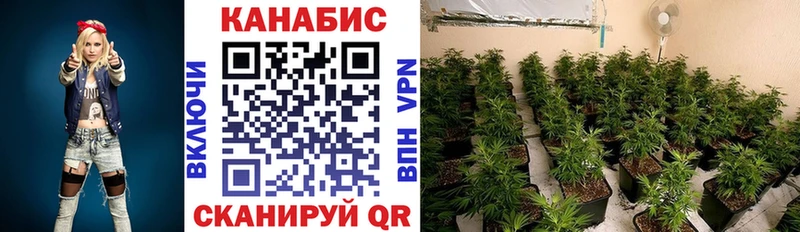 Марихуана Amnesia  Славгород 