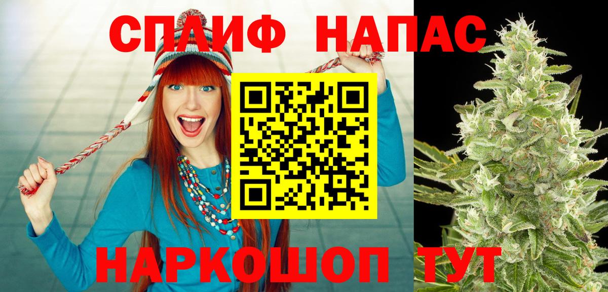 Славгород  Шишки марихуана планчик  Бошки Шишки семена  Вход с VPN 
